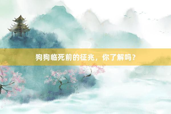 狗狗临死前的征兆，你了解吗？