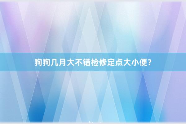 狗狗几月大不错检修定点大小便？