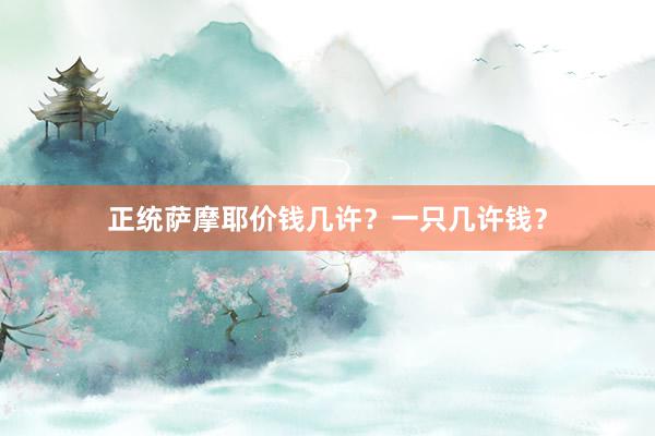 正统萨摩耶价钱几许？一只几许钱？